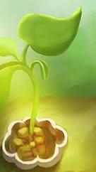 手绘绿色发芽植物视频的预览图